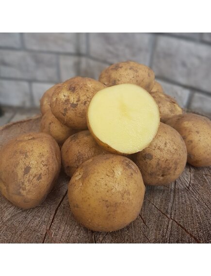 Картофель Гала