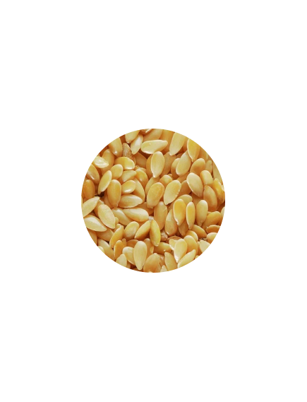 Зерно Лён белый