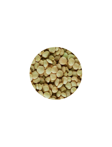 Зерно Чечевица