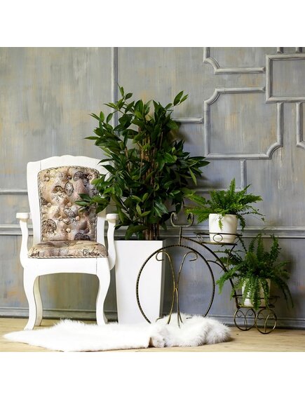 Подставка Классика велосипед на 2 цветка металл высота 65см 71-052