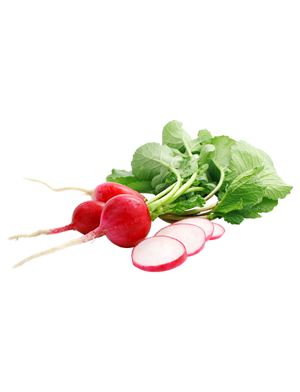 Редис пучковой