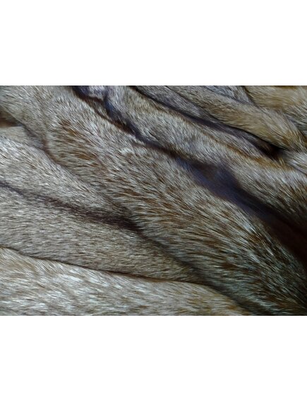 Лиса Огнёвка обесцвеченная