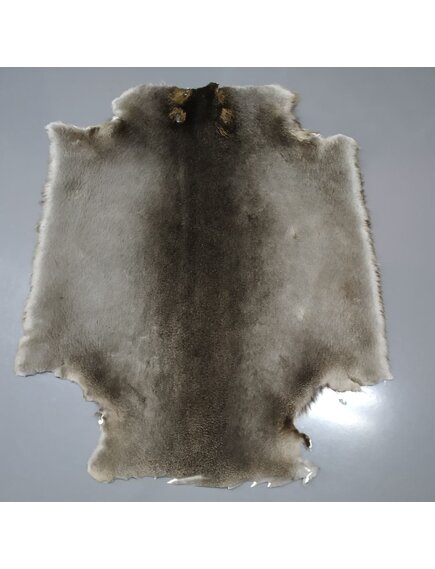 Бобр натуральный стриженый