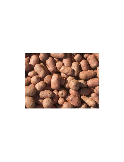 Керамзит 20-40