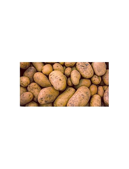 Картофельный крахмал