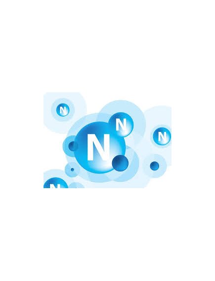 Биогаз N. Азот