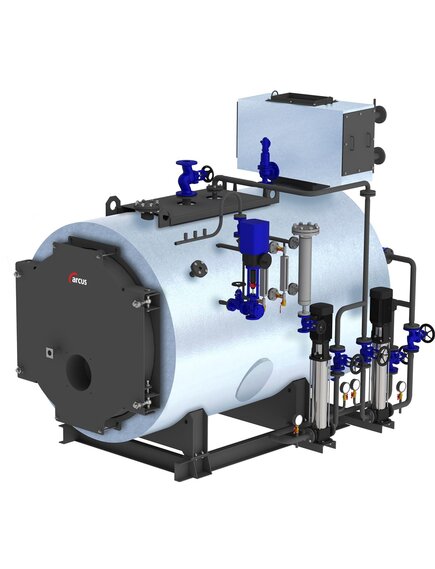 Паровой трехходовый котел IGNIS P 2000 (газ, дизель) 12 бар