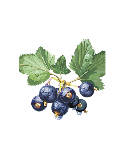 Конфитюр Джем со вкусом Черная смородина