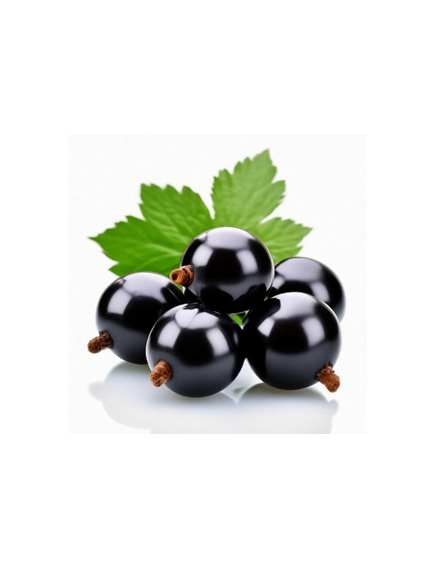 Конфитюр с кусочками Чёрная смородина, Категория Н