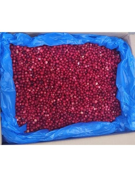 Брусника замороженная - Россия