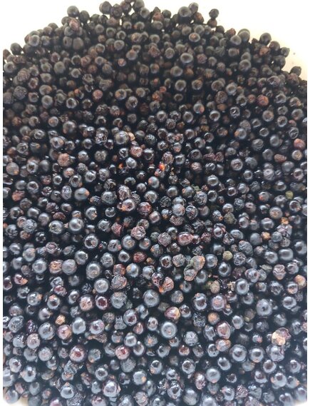 Бузина замороженная