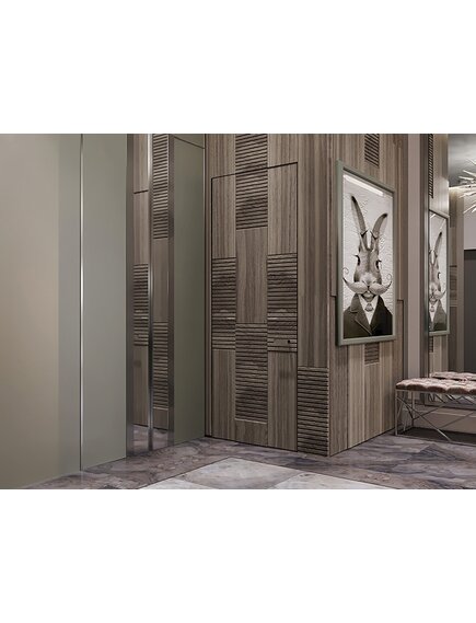 Двери Тино 66