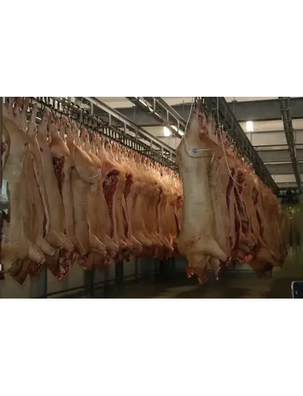 Модуль охлаждения мяса на костях и субпродуктов 1-й категории двухуровневый