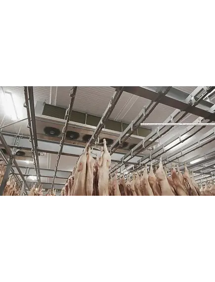 Модуль охлаждения мяса на костях и субпродуктов 2-й категории одноуровневый