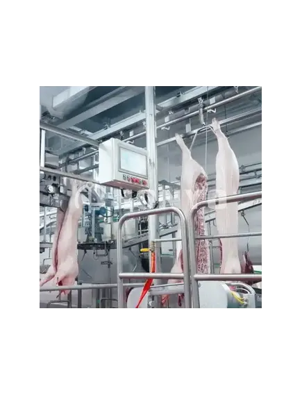 Линия убоя свиней из нержавеющей стали