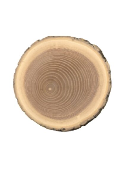 Сибирская ель