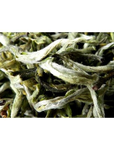 Зеленый чай Маофэн высокогорный из Юннань. Урожай 2023 года