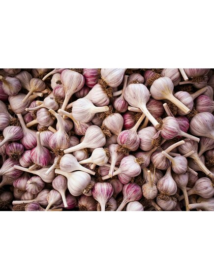 Чеснок сушеный гранулированный