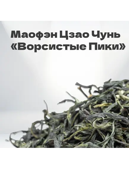 Чай зеленый Маофэн "Ворсистые Пики", весна 2024 г, 30 гр в банке