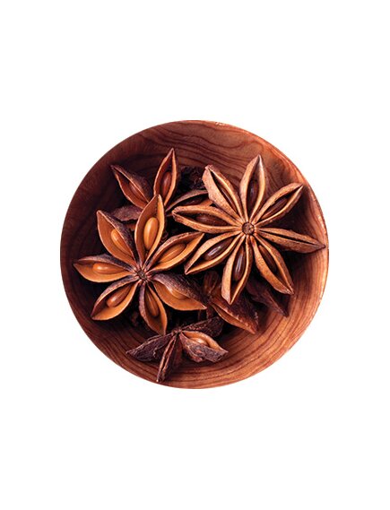 Бадьян звёздчатый плоды