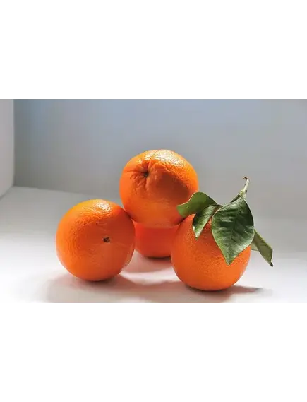 Апельсины свежие