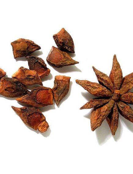 Бадьян Звездчатый ломанный