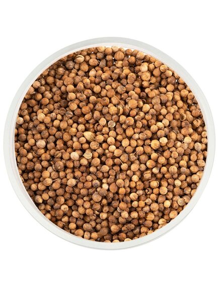 Кориандр зерна