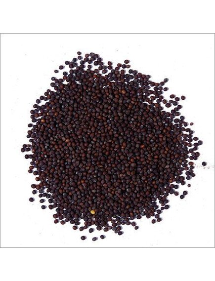 Горчица черная семена