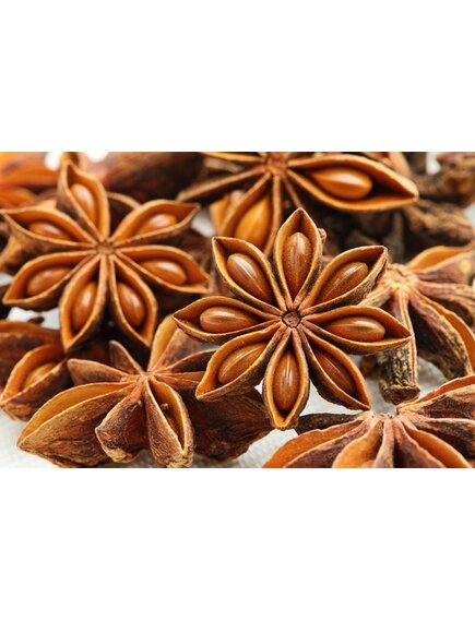 Бадьян (звёздочка)