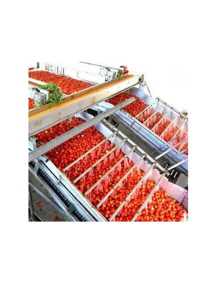 Линия консервирования томатов