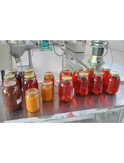 Линия консервирования компотов