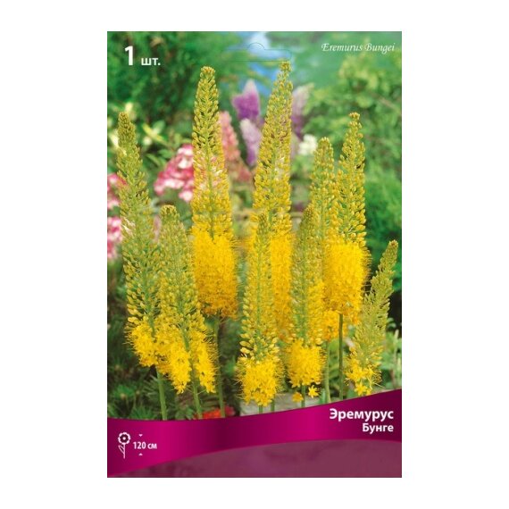 Эремурус Бунге