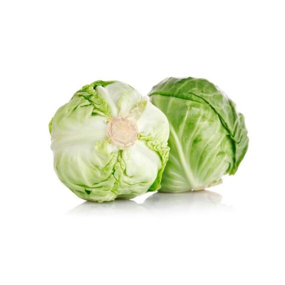 Свежая белокочанная капуста Фарао
