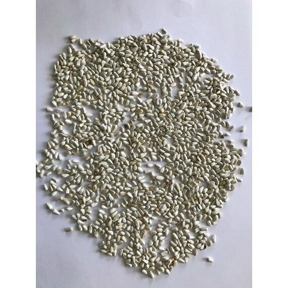 Сафлор товарный