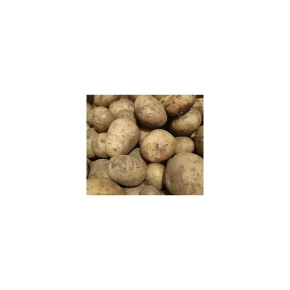 Картофель Невский