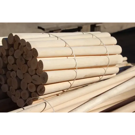 Шкант березовый