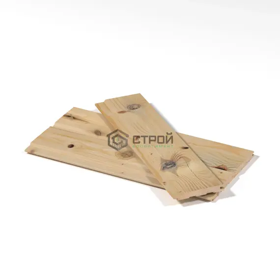 Европол строганый сухой хвоя