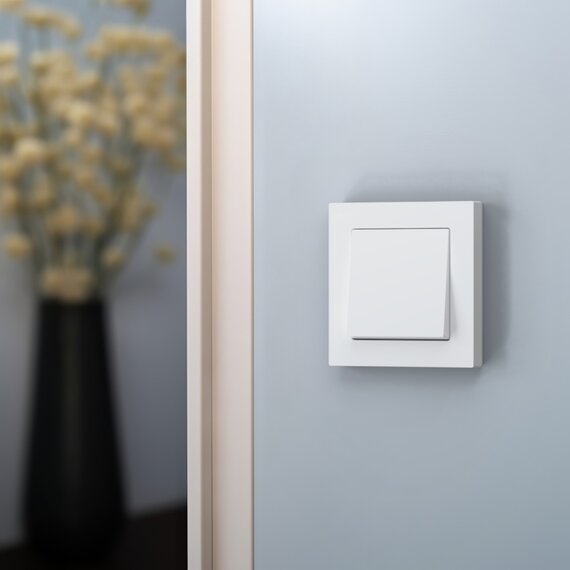 Радиовыключатель BASE-1