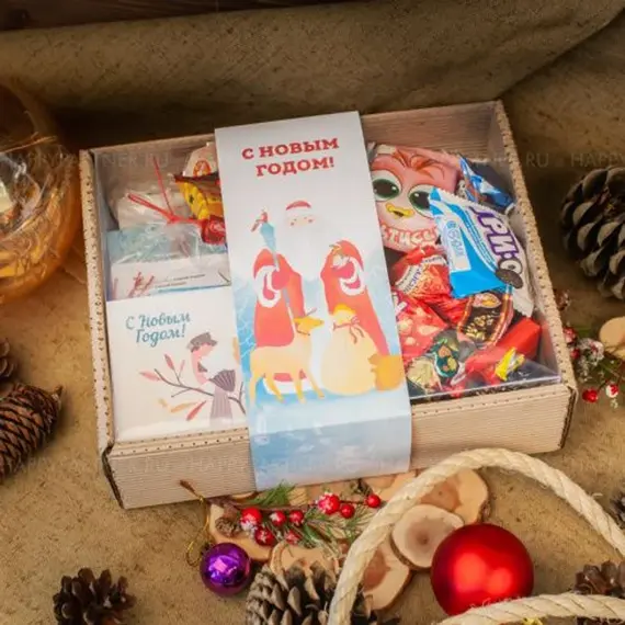 Птицы наших широт