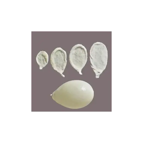 Пузыри свиные мочевые