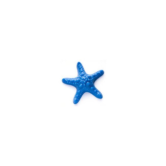 Архитектурная форма Морская звезда