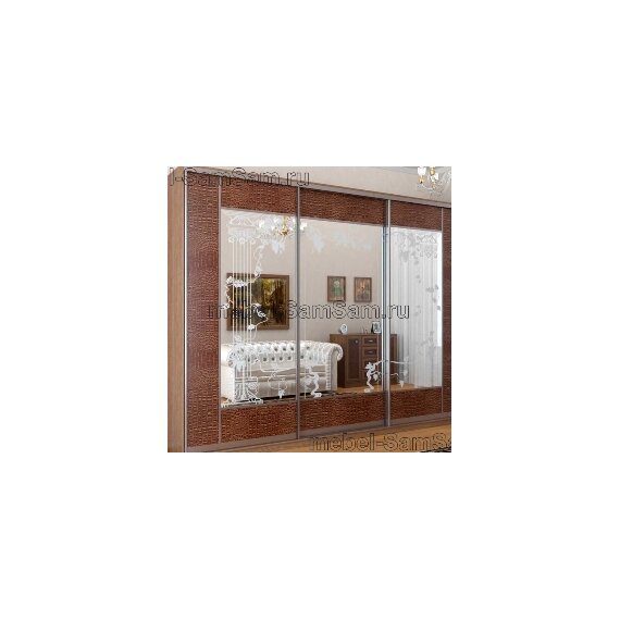 Шкафы-купе с кожаными вставками