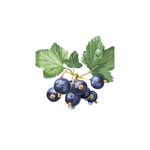 Конфитюр Джем со вкусом Черная смородина