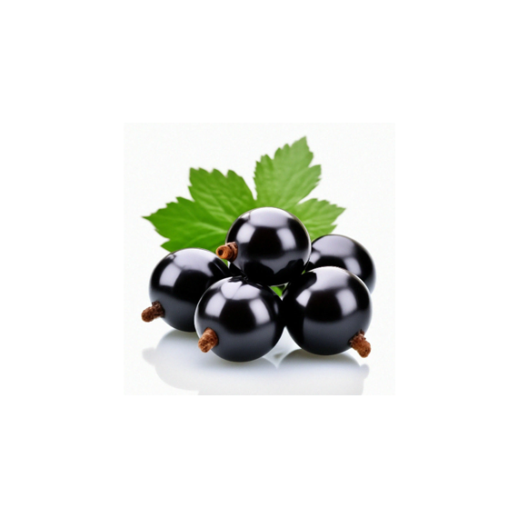 Конфитюр с кусочками Чёрная смородина, Категория Н