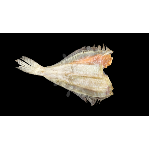 Камбала Ёрш ПРЕМИУМ