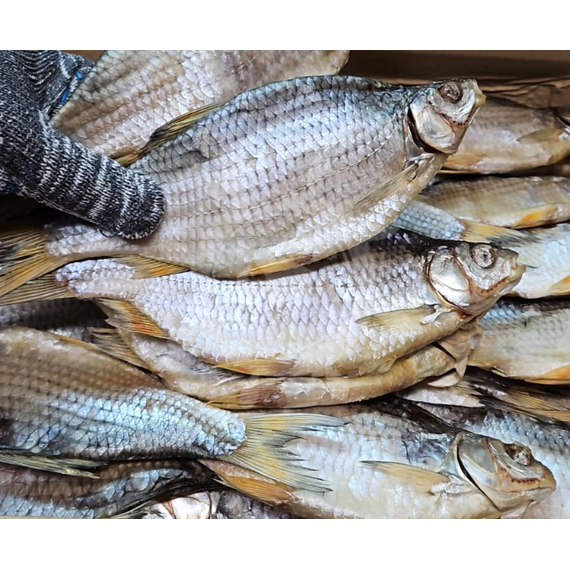 Вобла Аральская