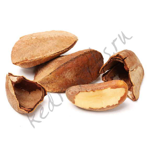 Бразильский орех в скорлупе