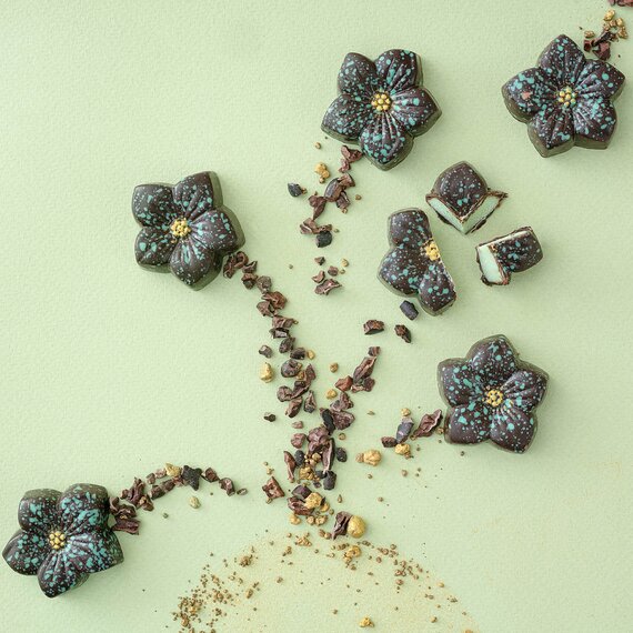 Конфета Реминьи