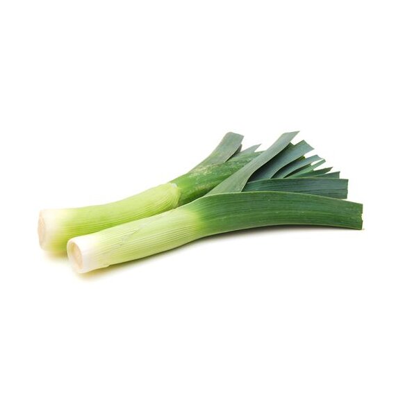 Лук порей