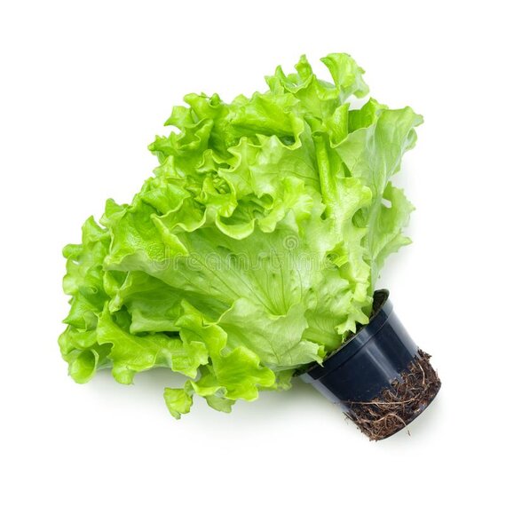 Салат в горшочке